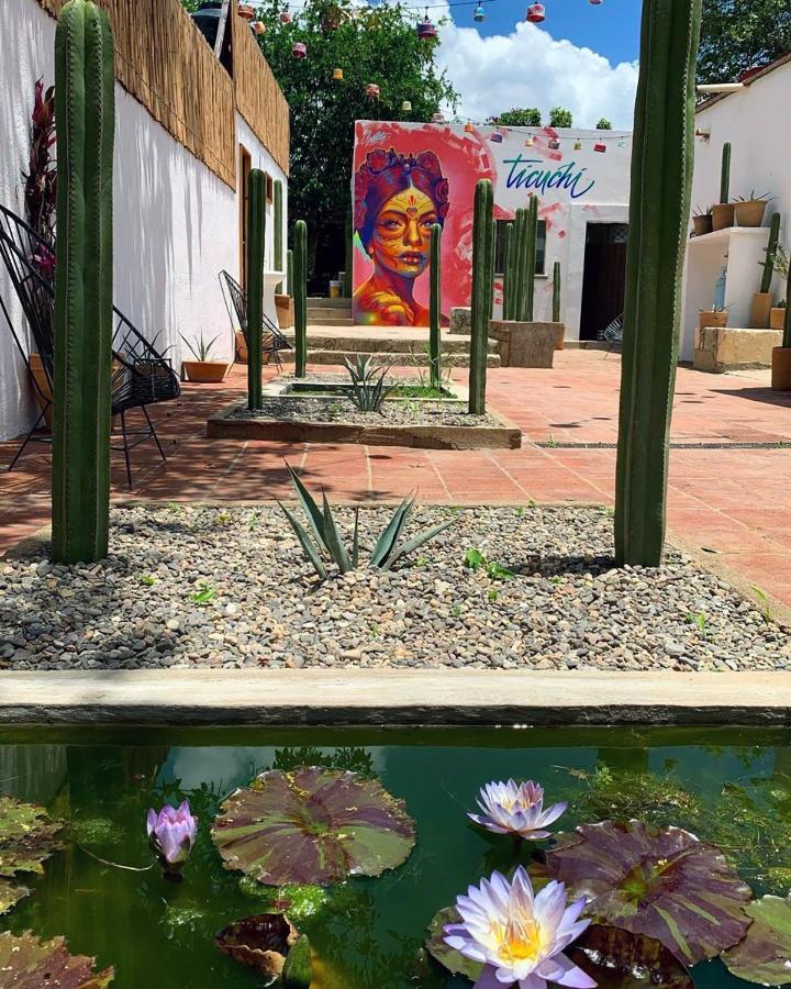 Ticuchi Hostal Oaxaca Exterior photo